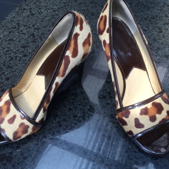 Meet your Posher, Penny - Picture 3 of 4